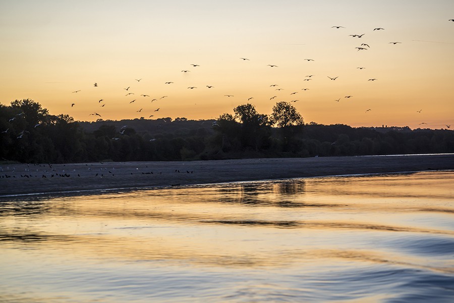 Croisière lever du soleil